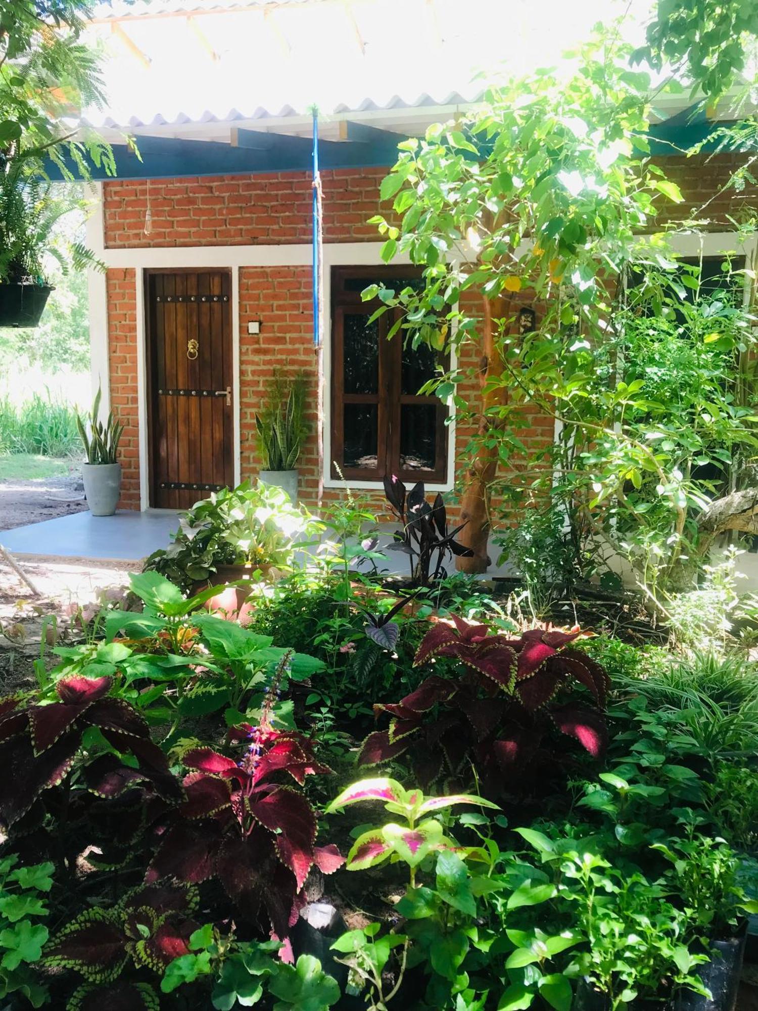 Hotel The Wild Culture Sigiriya Exterior foto